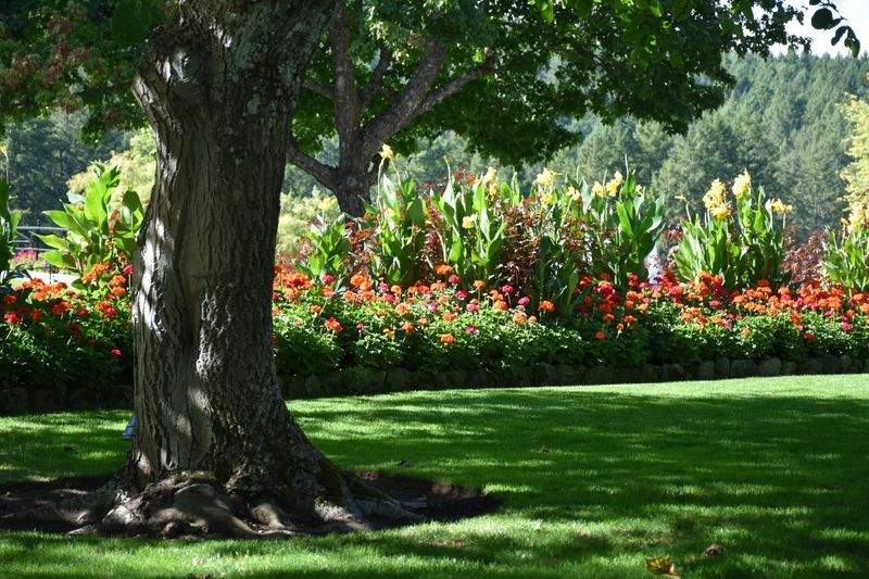 Jardins Harmonie Provence 2