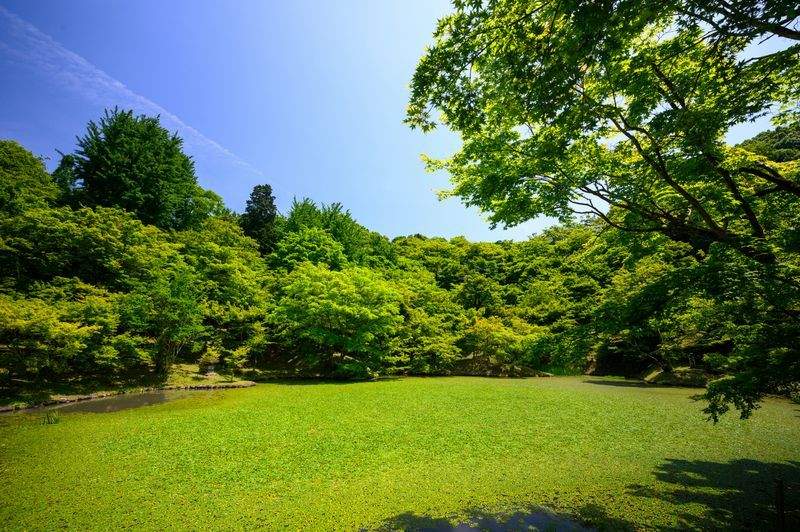 Jardins Harmonie Provence 9